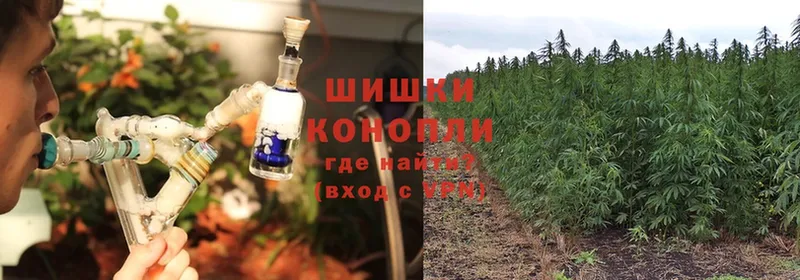 сколько стоит  гидра ТОР  Шишки марихуана THC 21%  Карабаш 